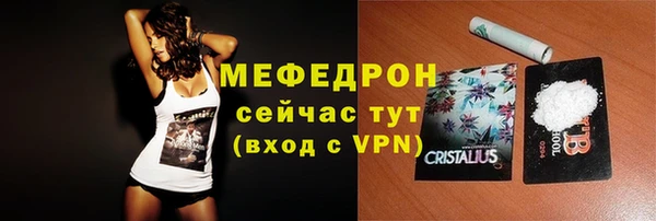 шишки Нестеровская