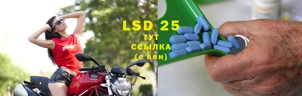 прущие грибы Майский