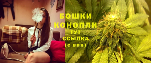 бошки Магас