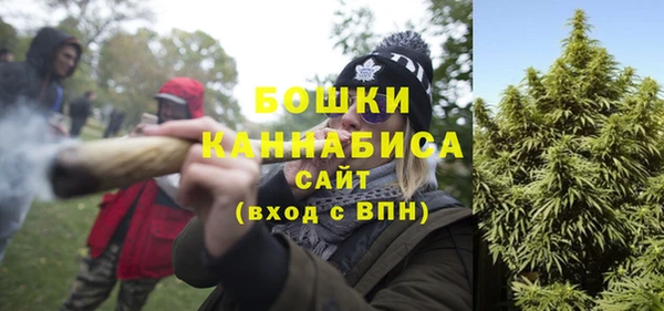 прущие грибы Майский