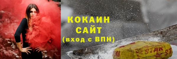 прущие грибы Майский