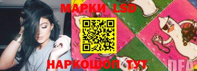 mdma Аргун