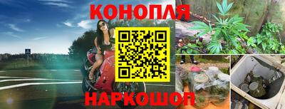 мдпв Апшеронск