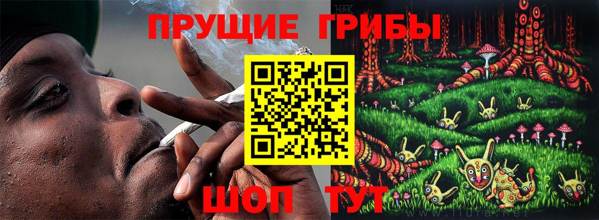 Каспийск  Псилоцибиновые грибы ЛСД  Вход с VPN 