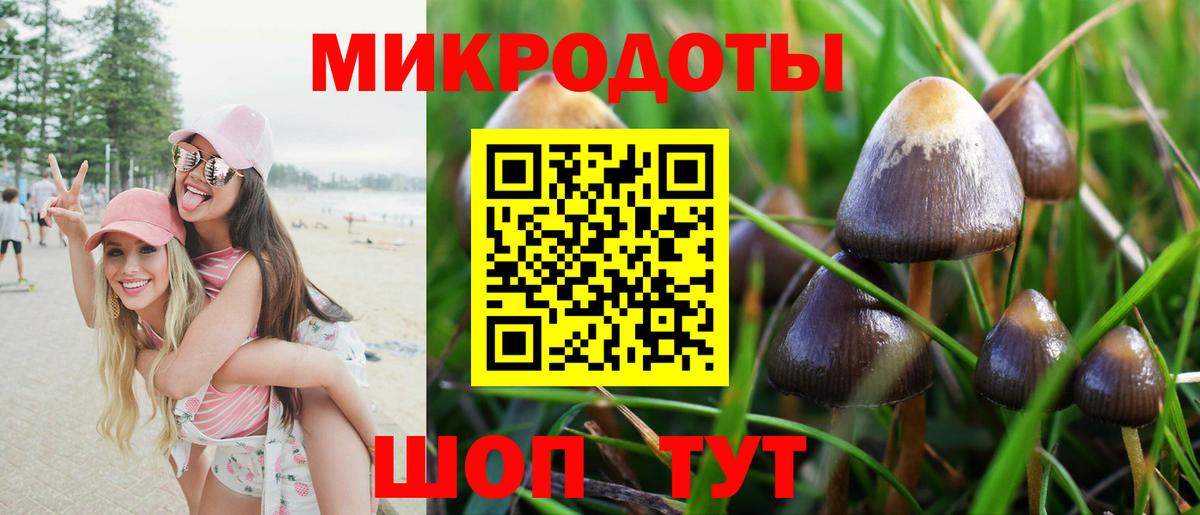 Галлюциногенные грибы ЛСД Каспийск